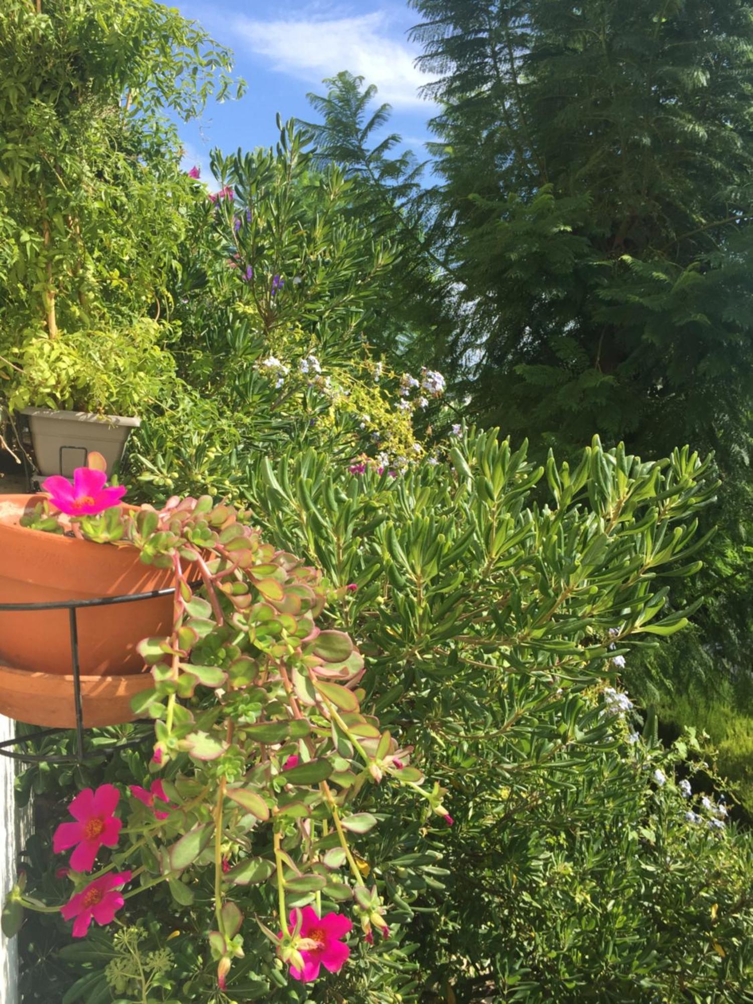 Bed & Breakfast Charmante Privee 5/10 Mn Du Centreville/port-jardin/parking